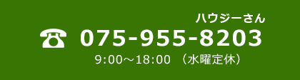 075-955-8203